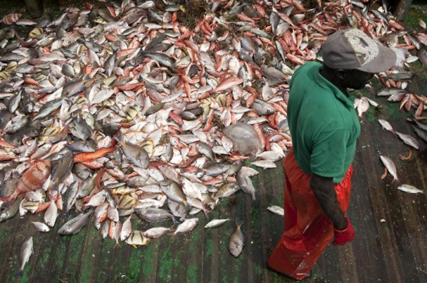 Overfishing in West African waters. © Christian Åslund / Greenpeace
