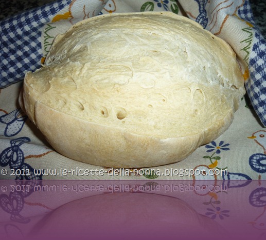 Pane all'olio con pasta madre (8)