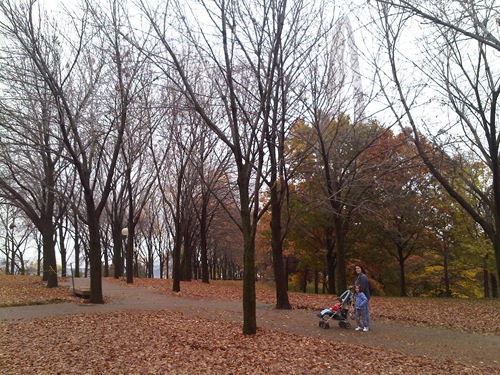 IMG00119-20091028-1212