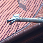 Dragon drain! Dragon drain!