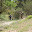 PH088385.JPG