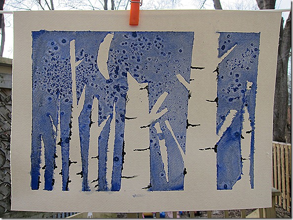 IMG_2236 IMG_2236