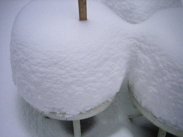 [snowstorm1201_342.jpg]
