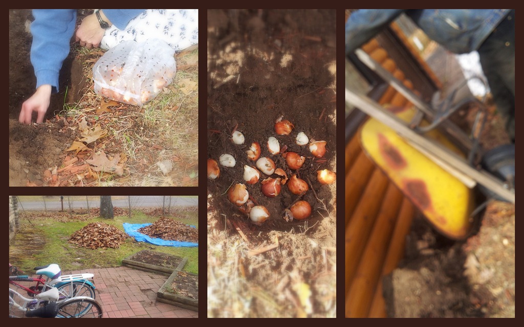 [outside%2520stuff%255B3%255D.jpg]