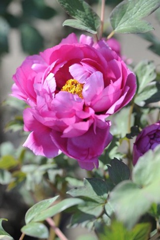 claus20120416_092650
