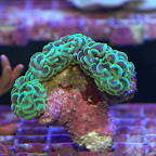 DSC_2114.jpg