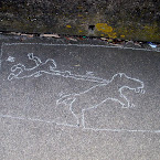 DSCN7016.JPG