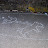 DSCN7016.JPG