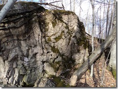 DSC00385 DSC00385