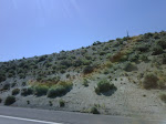 IMG00020-20090726-1030.jpg