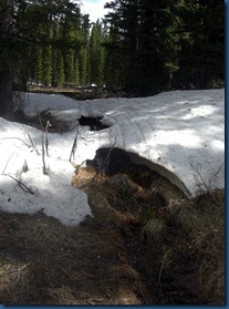 Tucker Ponds May 2011 (10)