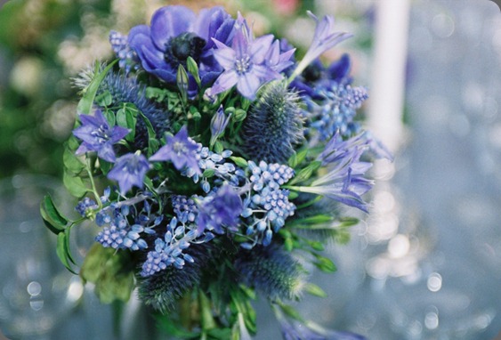 A00009_011A emily thompson flowers A00009_011A emily thompson flowers