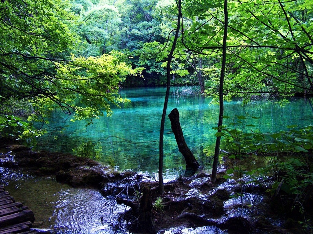 [amazing-waterfalls-of-plitvice-lakes-in-croatia-15%255B5%255D.jpg]