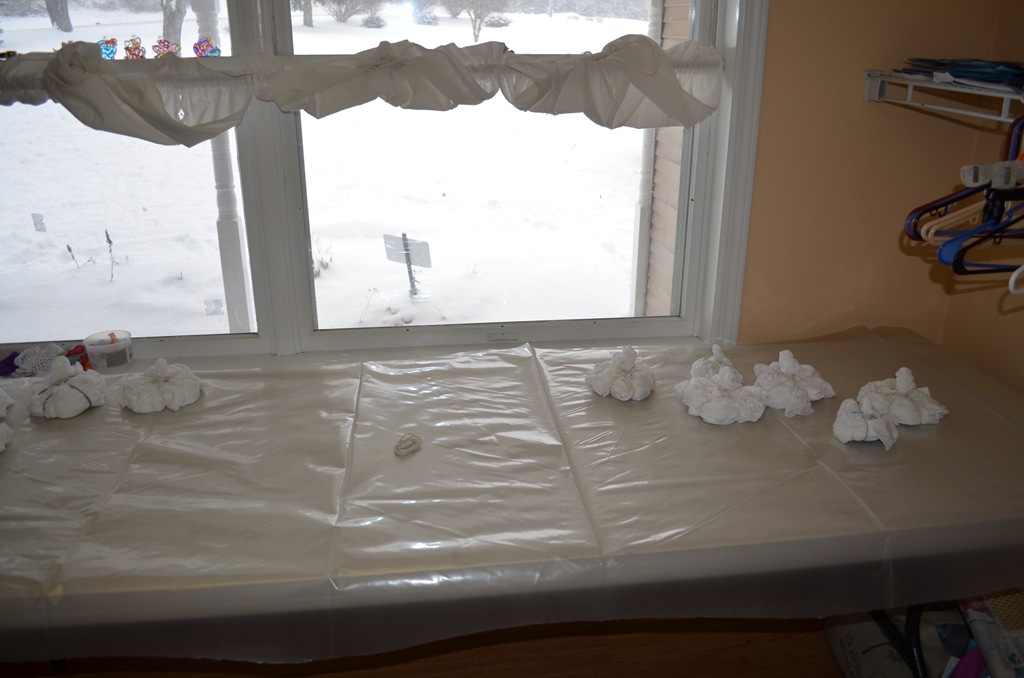 [DSC_6018%255B4%255D.jpg]