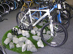Cannondale Mountain Bikes at Spirited Cyclist bike shop in Huntersville, NC
