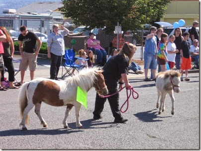 IMG_7562 Miniature Horses in the Rainier Days in the Park Parade on July 14, 2007
