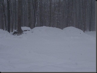 new snow