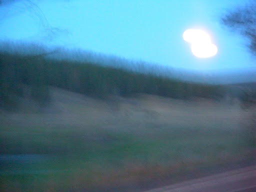 Picasa Web Albums Anna Scott