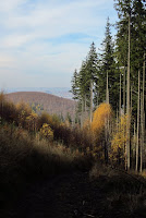 IMG_0260.JPG