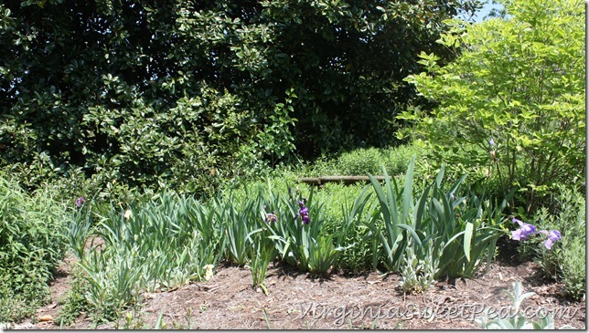 Iris2 Iris2