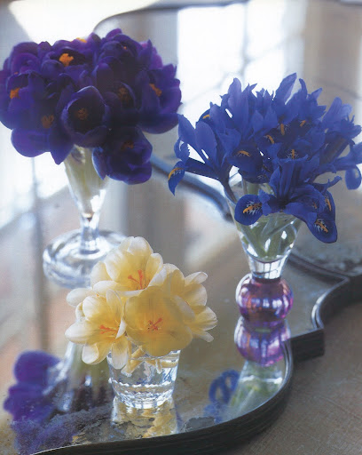 Rather than mix purple crocuses, white crocuses, and irises in a single vessel, Martha shows off each flower individually, then groups the bouquets into a quintessential spring display. (The Best of Martha Stewart Living -- Arranging Flowers) Rather than mix purple crocuses, white crocuses, and irises in a single vessel, Martha shows off each flower individually, then groups the bouquets into a quintessential spring display. (The Best of Martha Stewart Living -- Arranging Flowers)