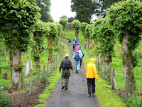 On the trail