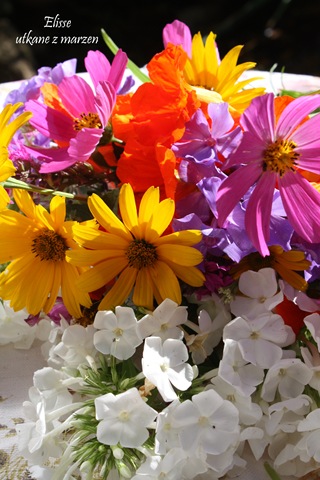 [IMG_4550-1%255B3%255D.jpg]