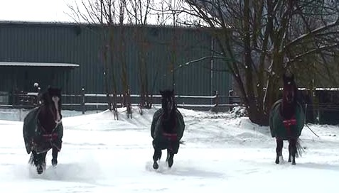 [Schnee14%255B10%255D.jpg]