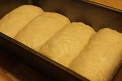 Hokkaido-Milk-Bread022 Hokkaido-Milk-Bread022