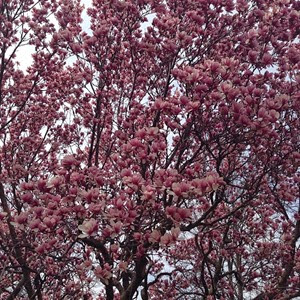 2014-04-10_1397147738