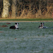 DSC09283.JPG
