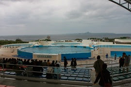 IMG_3089 IMG_3089