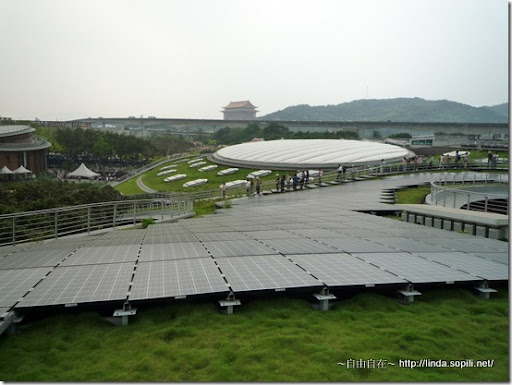 2010台北花博-青青步道3 2010台北花博-青青步道3