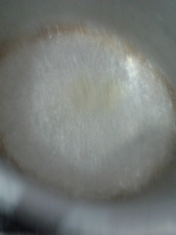 [2012-09-18%252015.14.33%255B7%255D.jpg]