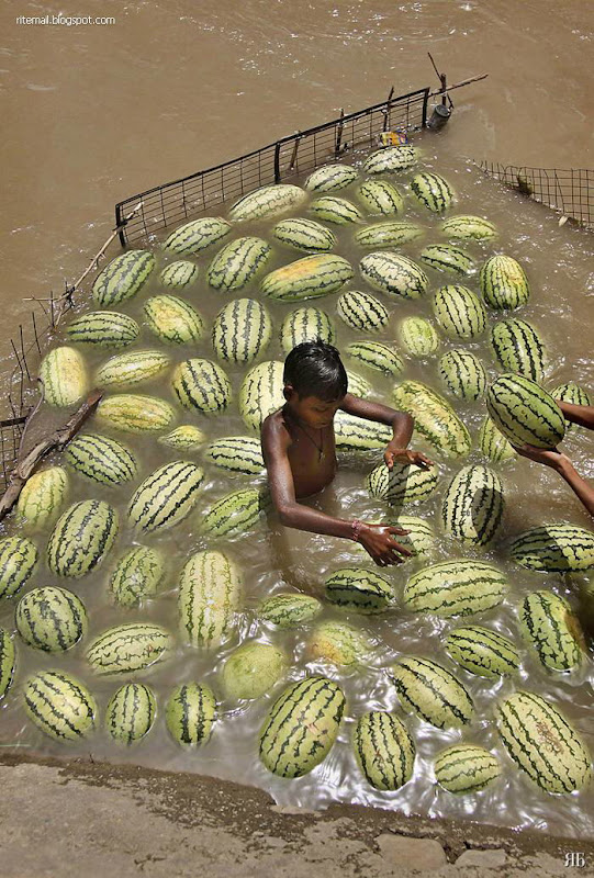 Image Dimension: 347x512 :: Photo News from round the World Photo News from round the World