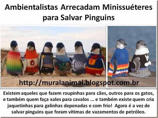 Minissuéteres para Salvar Pinguins