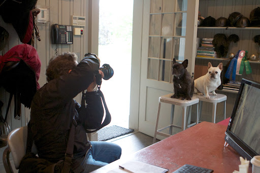 We noticed you have a section in the magazine called 'Barn Dogs.' We wouldn't mind one bit if you featured us. We noticed you have a section in the magazine called 'Barn Dogs.' We wouldn't mind one bit if you featured us.
