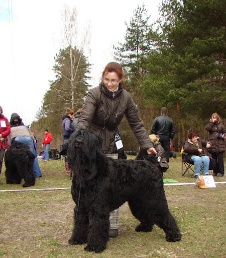 Russian+dog+breeds+pictures