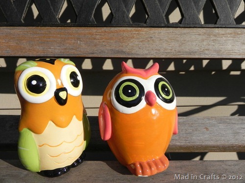 dollar store owls