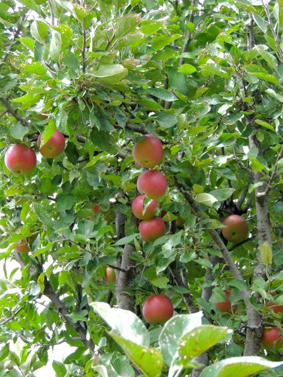 [DSCN0305%255B3%255D.jpg]