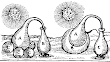 Alchemical And Distilling Apparatus From John French The Art Of Distillation 1651 Fig20