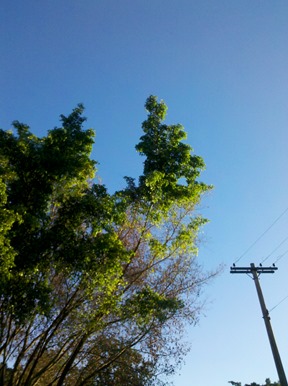 2013-03-29_07-02-01_393 2013-03-29_07-02-01_393