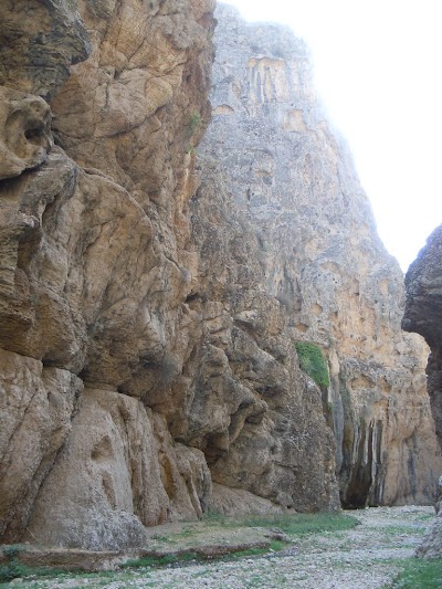 DSCN3871.jpg