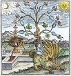 Engraving 3 From C Gesner The Practice Of The New And Old Physicke 1599