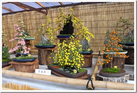 日本中部之旅(Day4)_35