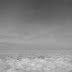 R0028226.JPG