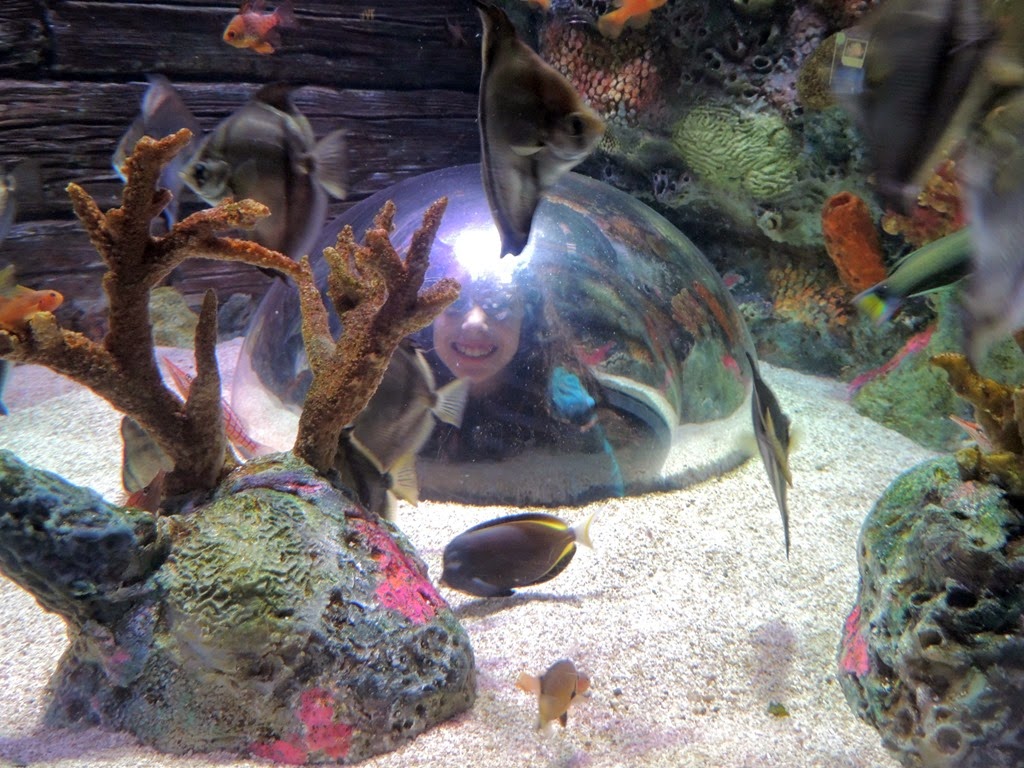 [DSCN1350%255B3%255D.jpg]