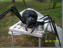 Mr. Spider Mr. Spider