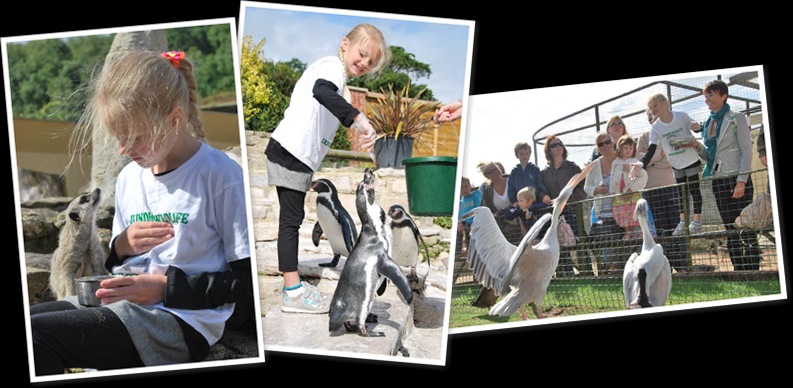 View Isabelle Honnor 2