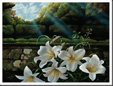 Lirio-Branco Lirio-Branco